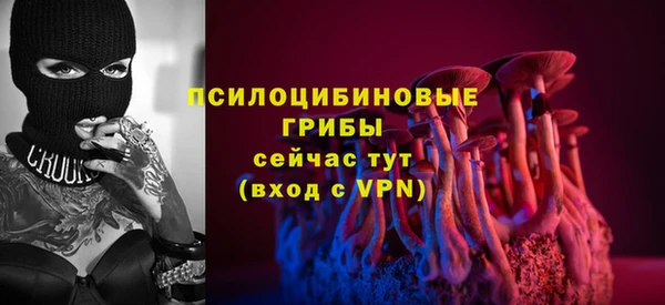 спайс Аркадак