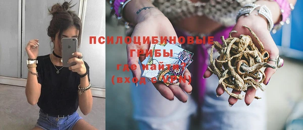 спайс Аркадак