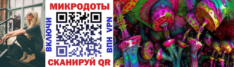 Псилоцибиновые грибы прущие грибы  KRAKEN рабочий сайт  Пудож 