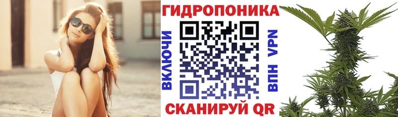 МАРИХУАНА ГИДРОПОН  закладка  нарко площадка официальный сайт  Пудож 